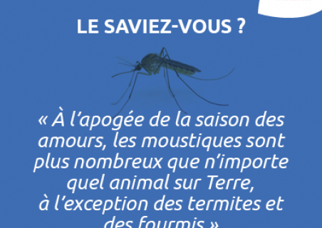 Photo 6 de BHL PROPHYLAXIE