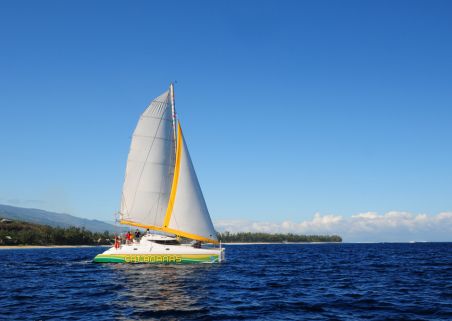 Photo 3 de CAT'ANANAS